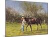 Exercising the Horse,-Edward Dawson-Mounted Giclee Print