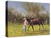 Exercising the Horse,-Edward Dawson-Stretched Canvas