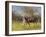 Exercising the Horse,-Edward Dawson-Framed Giclee Print