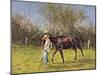 Exercising the Horse,-Edward Dawson-Mounted Giclee Print
