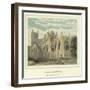 Exeter Cathedral, from the Bishop's Garden-John Francis Salmon-Framed Giclee Print