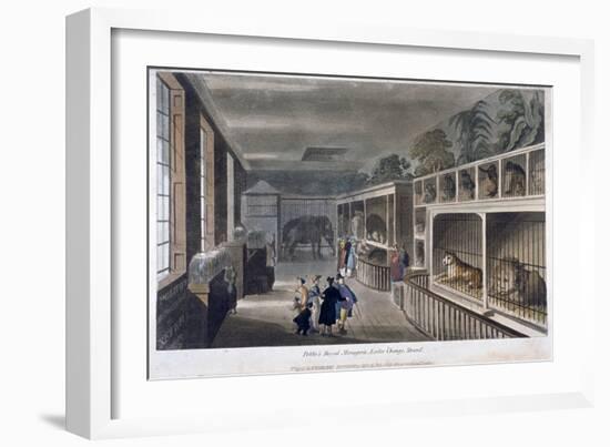 Exeter Change, Westminster-null-Framed Giclee Print