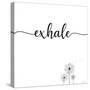 Exhale-Denise Brown-Stretched Canvas