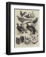 Exhibition of Game Birds and Bantams at the Crystal Palace-Harrison William Weir-Framed Giclee Print