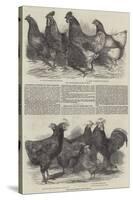 Exhibition of Poultry at Great Yarmouth-Harrison William Weir-Stretched Canvas