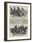 Exhibition of Poultry at Great Yarmouth-Harrison William Weir-Framed Giclee Print