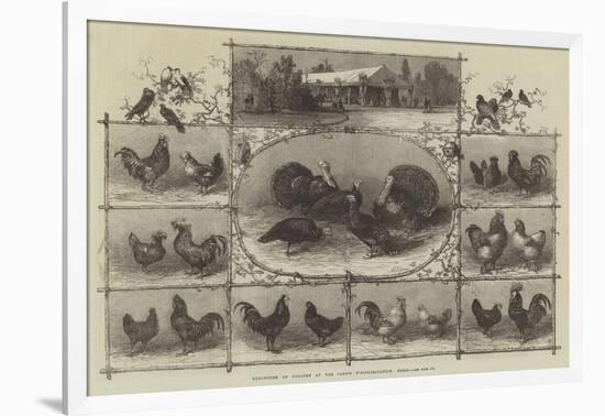 Exhibition of Poultry at the Jardin D'Acclimatation, Paris-null-Framed Giclee Print