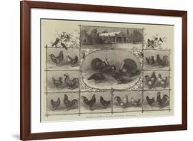 Exhibition of Poultry at the Jardin D'Acclimatation, Paris-null-Framed Giclee Print