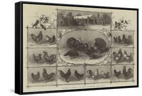 Exhibition of Poultry at the Jardin D'Acclimatation, Paris-null-Framed Stretched Canvas