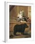 Exhibition of Rhino, 1751-Pietro Longhi-Framed Giclee Print