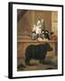 Exhibition of Rhino, 1751-Pietro Longhi-Framed Giclee Print