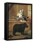 Exhibition of Rhino, 1751-Pietro Longhi-Framed Stretched Canvas