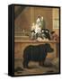 Exhibition of Rhino, 1751-Pietro Longhi-Framed Stretched Canvas