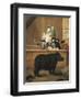 Exhibition of Rhino, 1751-Pietro Longhi-Framed Giclee Print