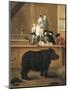 Exhibition of Rhino, 1751-Pietro Longhi-Mounted Giclee Print