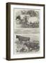 Exhibition of the Royal Agricultural Society of England-Harrison William Weir-Framed Giclee Print