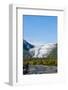 Exit Glacier, Kenai Fjords National Park, Alaska, USA.-Michael DeFreitas-Framed Photographic Print