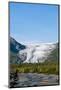 Exit Glacier, Kenai Fjords National Park, Alaska, USA.-Michael DeFreitas-Mounted Photographic Print