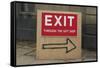 Exit Through the Gift Shop-Banksy-Framed Stretched Canvas