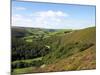 Exmoor From County Gate, Looking Towards Brendon, Exmoor National Park, Somerset, England, Uk-Jeremy Lightfoot-Mounted Photographic Print