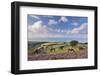 Exmoor Ponies Grazing on Heather Covered Moorland on Porlock Common, Exmoor, Somerset-Adam Burton-Framed Photographic Print