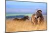 Exmoor ponies in high grasses, Exmoor National Park, England-Nick Garbutt-Mounted Photographic Print