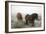 Exmoor Ponies-Dr. Keith Wheeler-Framed Photographic Print