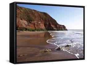 Exmouth Cliffs, Exmouth, Devon, England, United Kingdom, Europe-Jeremy Lightfoot-Framed Stretched Canvas