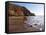 Exmouth Cliffs, Exmouth, Devon, England, United Kingdom, Europe-Jeremy Lightfoot-Framed Stretched Canvas