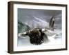 Exodus-Spencer Williams-Framed Giclee Print