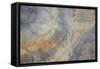 Exoplanet-Tyson Estes-Framed Stretched Canvas