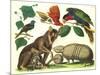 Exotic Animals of the World-null-Mounted Art Print