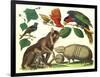 Exotic Animals of the World-null-Framed Art Print