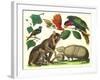 Exotic Animals of the World-null-Framed Art Print