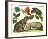 Exotic Animals of the World-null-Framed Art Print