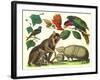 Exotic Animals of the World-null-Framed Art Print