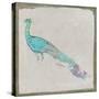 Exotic Bird I-null-Stretched Canvas
