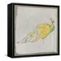 Exotic Bird II-null-Framed Stretched Canvas