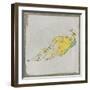 Exotic Bird II-null-Framed Art Print