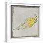 Exotic Bird II-null-Framed Art Print