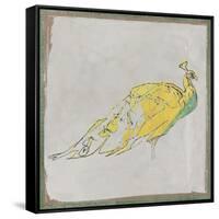 Exotic Bird II-null-Framed Stretched Canvas