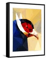 Exotic Bird-Enrico Varrasso-Framed Stretched Canvas