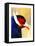 Exotic Bird-Enrico Varrasso-Framed Stretched Canvas