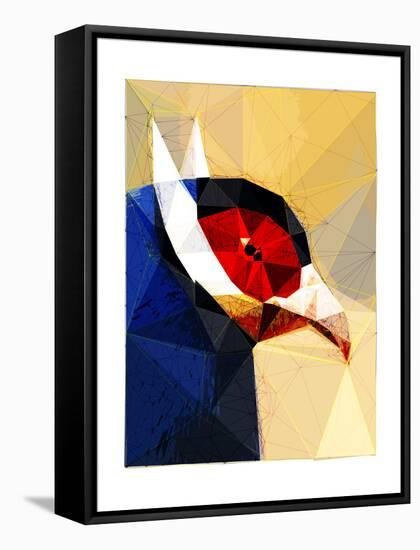 Exotic Bird-Enrico Varrasso-Framed Stretched Canvas