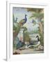 Exotic Birds and Domestic Fowl in a Picturesque Park, Early 18th Century-Jakob Bogdany-Framed Giclee Print