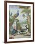 Exotic Birds and Domestic Fowl in a Picturesque Park, Early 18th Century-Jakob Bogdany-Framed Giclee Print