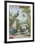 Exotic Birds and Domestic Fowl in a Picturesque Park, Early 18th Century-Jakob Bogdany-Framed Giclee Print