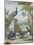 Exotic Birds and Domestic Fowl in a Picturesque Park, Early 18th Century-Jakob Bogdany-Mounted Giclee Print
