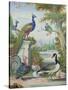 Exotic Birds and Domestic Fowl in a Picturesque Park, Early 18th Century-Jakob Bogdany-Stretched Canvas