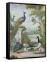 Exotic Birds and Domestic Fowl in a Picturesque Park, Early 18th Century-Jakob Bogdany-Framed Stretched Canvas
